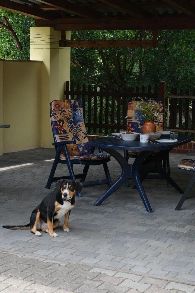 Prodej domu 200 m², pozemek 1.286 m², Zur Burg 10, Rabenstein/Fläming, Braniborsko Prodej domu 200 m², pozemek 1.286 m², Zur Burg 10, Rabenstein/Fläming, Braniborsko