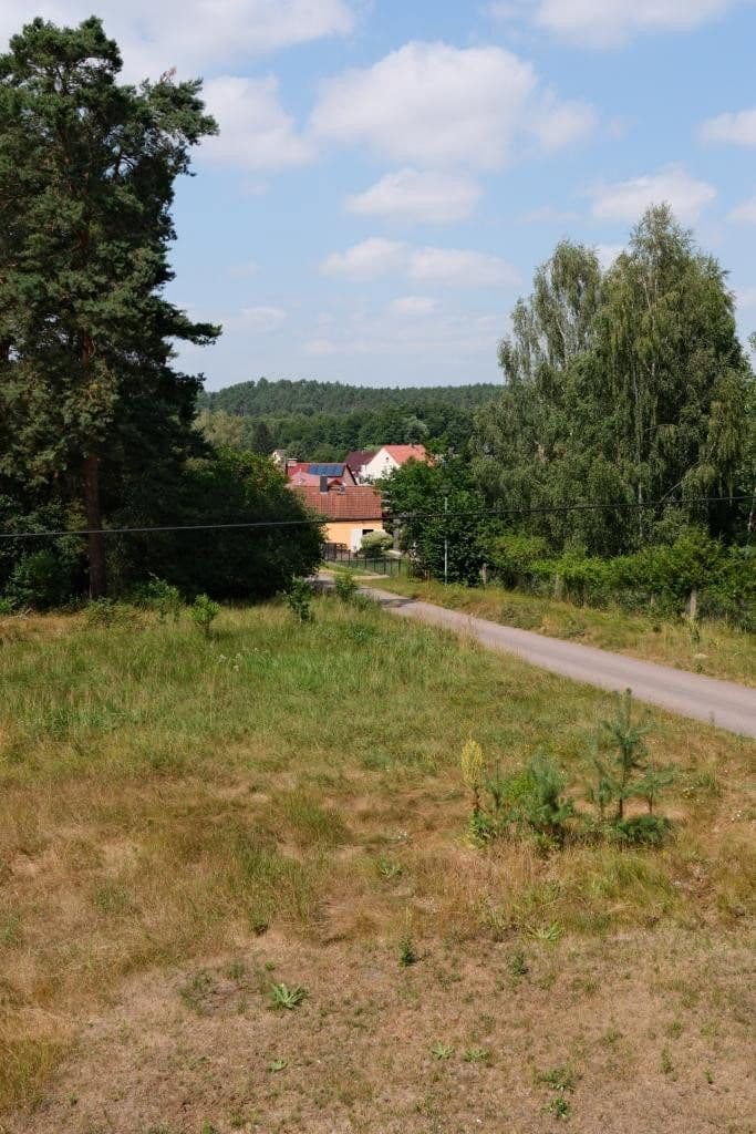 Prodej domu 200 m², pozemek 1.286 m², Zur Burg 10, Rabenstein/Fläming, Braniborsko Prodej domu 200 m², pozemek 1.286 m², Zur Burg 10, Rabenstein/Fläming, Braniborsko