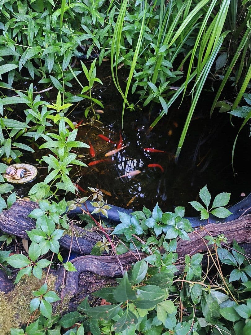Prodej domu 100 m², pozemek 349 m², Weinsberg, Bádensko-Württembersko Prodej domu 100 m², pozemek 349 m², Weinsberg, Bádensko-Württembersko