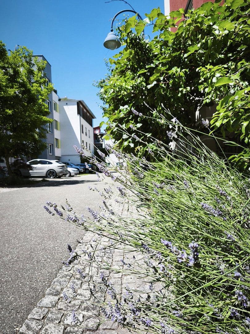 Prodej bytu 5+1 118 m², Freiburg, Bádensko-Württembersko Prodej bytu 5+1 118 m², Freiburg, Bádensko-Württembersko