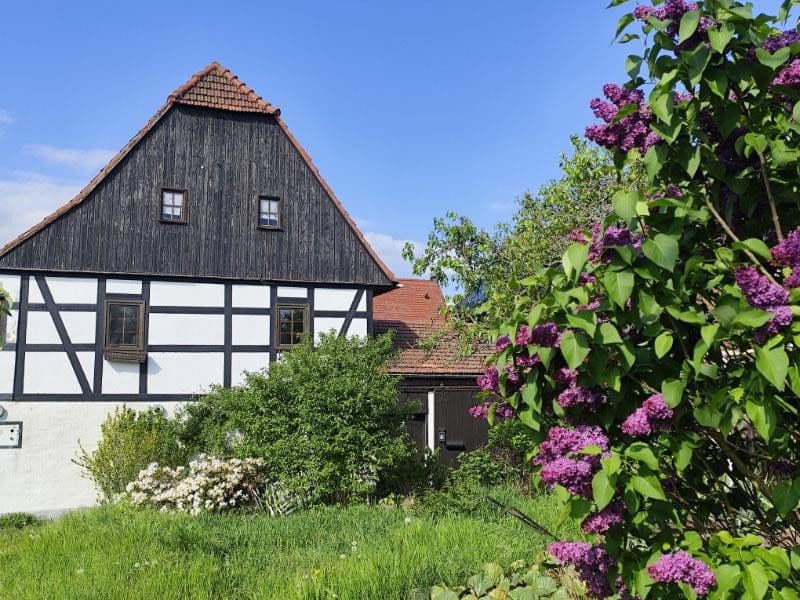Pronájem bytu 1+kk 66 m², Zur Hohle 2, Dresden, Sasko Pronájem bytu 1+kk 66 m², Zur Hohle 2, Dresden, Sasko