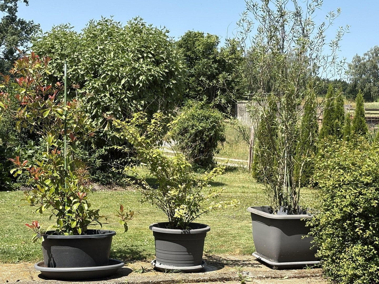 Prodej domu 351 m², pozemek 2.442 m², Weißenhorn, Bavorsko Prodej domu 351 m², pozemek 2.442 m², Weißenhorn, Bavorsko