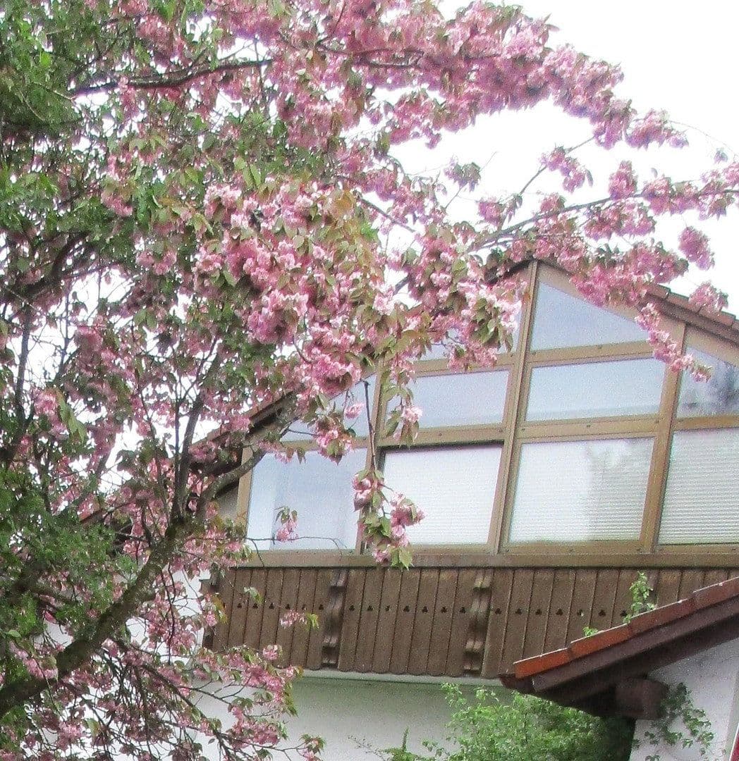 Prodej bytu 4+1 99 m², Haldenwang, Bavorsko Prodej bytu 4+1 99 m², Haldenwang, Bavorsko