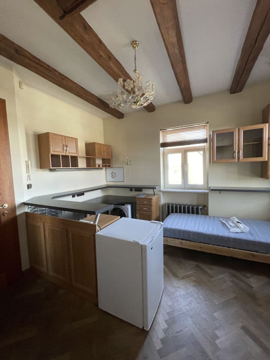 Pronájem bytu 1+kk 15 m², V Olšinách, Praha, Praha Pronájem bytu 1+kk 15 m², V Olšinách, Praha, Praha