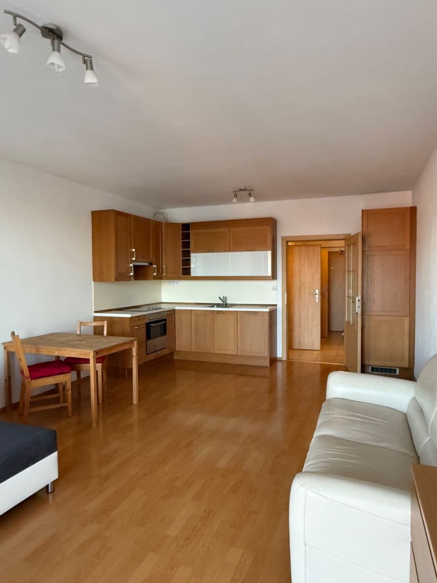 Pronájem bytu 1+kk 45 m², Panuškova, Praha, Praha Pronájem bytu 1+kk 45 m², Panuškova, Praha, Praha