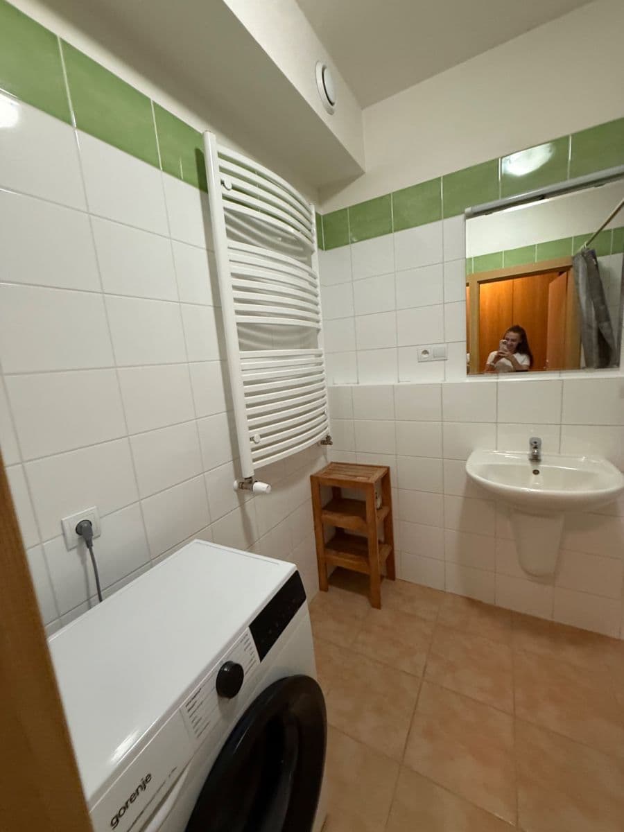 Pronájem bytu 1+kk 45 m², Panuškova, Praha, Praha Pronájem bytu 1+kk 45 m², Panuškova, Praha, Praha