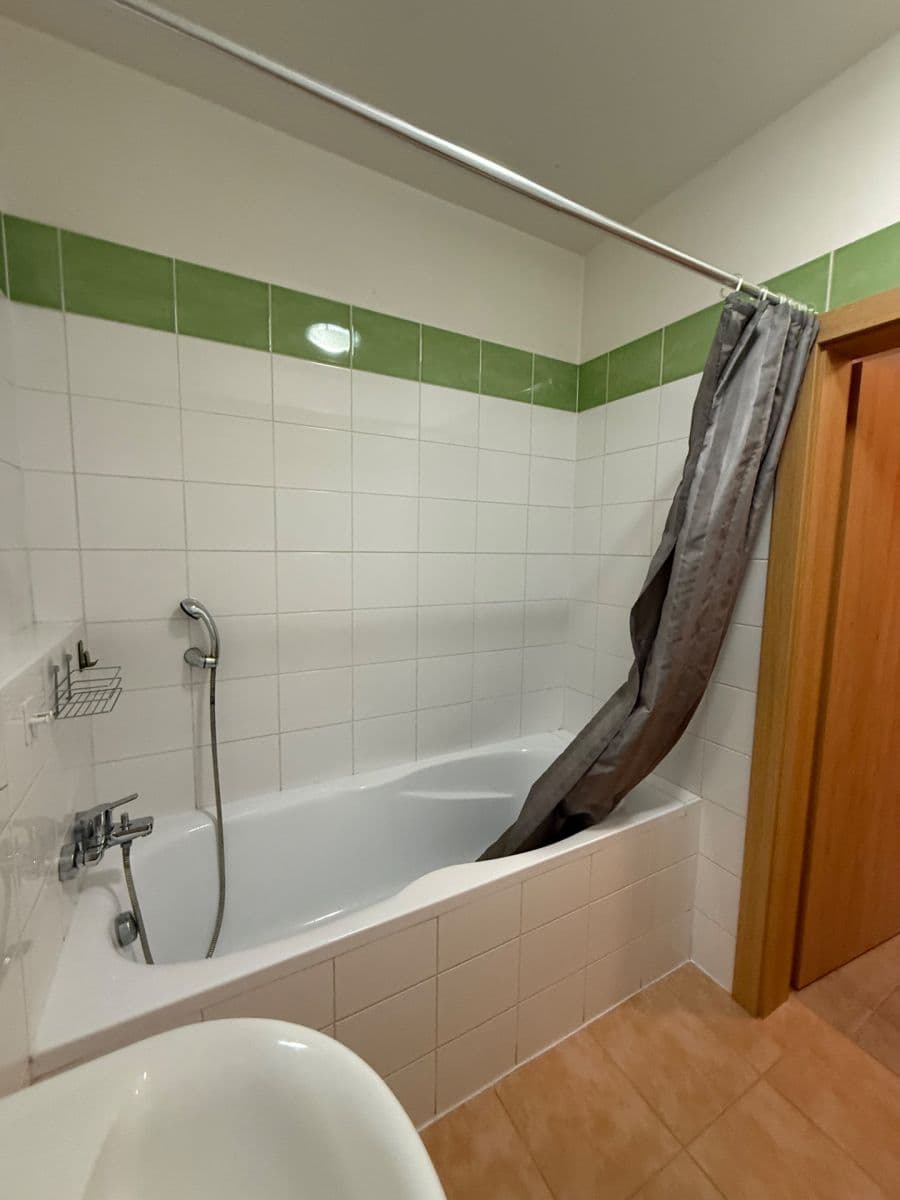 Pronájem bytu 1+kk 45 m², Panuškova, Praha, Praha Pronájem bytu 1+kk 45 m², Panuškova, Praha, Praha