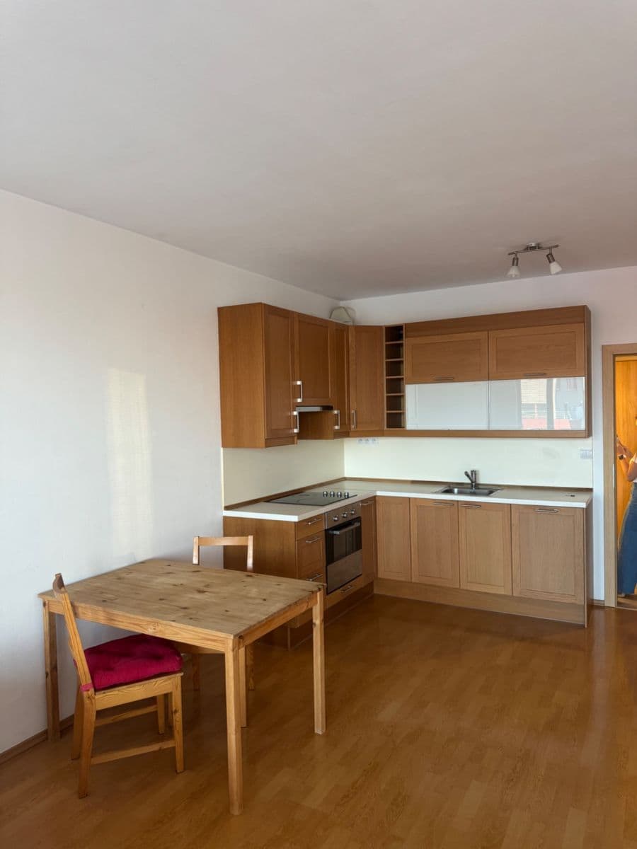 Pronájem bytu 1+kk 45 m², Panuškova, Praha, Praha Pronájem bytu 1+kk 45 m², Panuškova, Praha, Praha