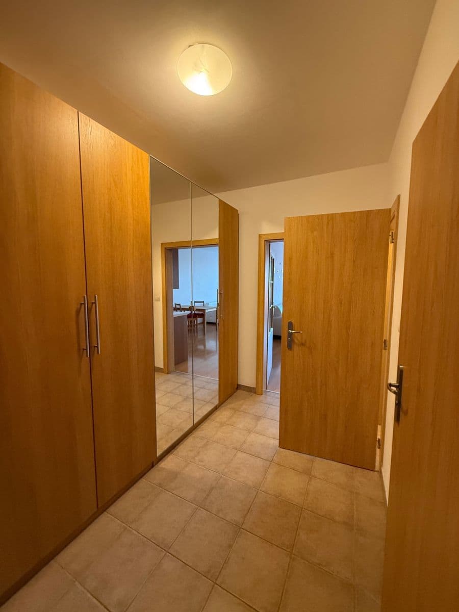 Pronájem bytu 1+kk 45 m², Panuškova, Praha, Praha Pronájem bytu 1+kk 45 m², Panuškova, Praha, Praha