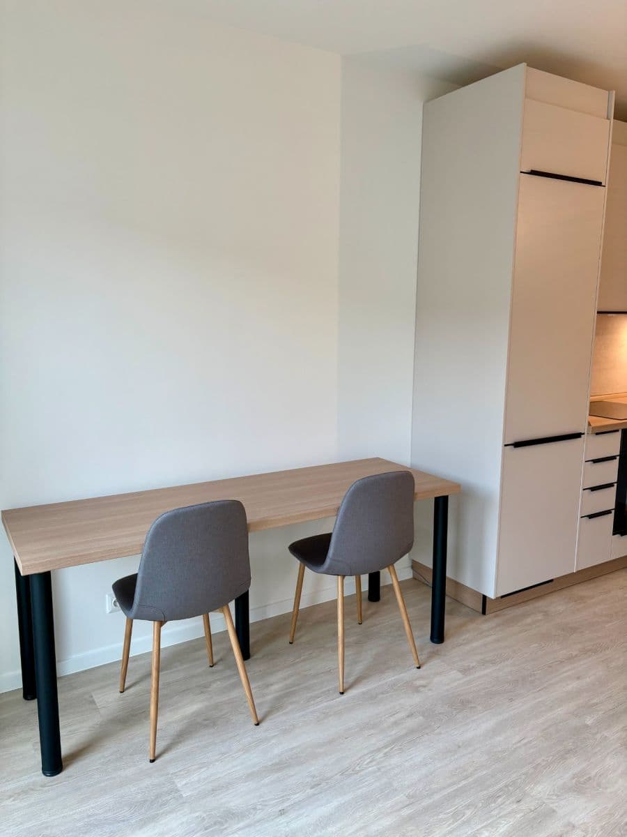 Pronájem bytu 1+kk 27 m², Svitavská, Brno, Jihomoravský kraj Pronájem bytu 1+kk 27 m², Svitavská, Brno, Jihomoravský kraj