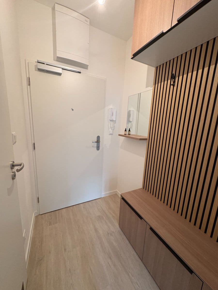 Pronájem bytu 1+kk 27 m², Svitavská, Brno, Jihomoravský kraj Pronájem bytu 1+kk 27 m², Svitavská, Brno, Jihomoravský kraj