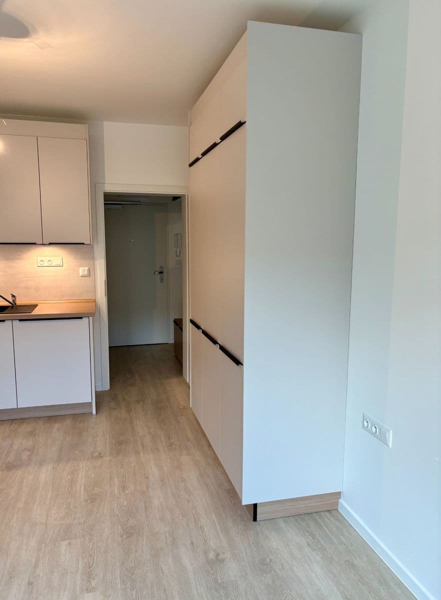 Pronájem bytu 1+kk 27 m², Svitavská, Brno, Jihomoravský kraj Pronájem bytu 1+kk 27 m², Svitavská, Brno, Jihomoravský kraj