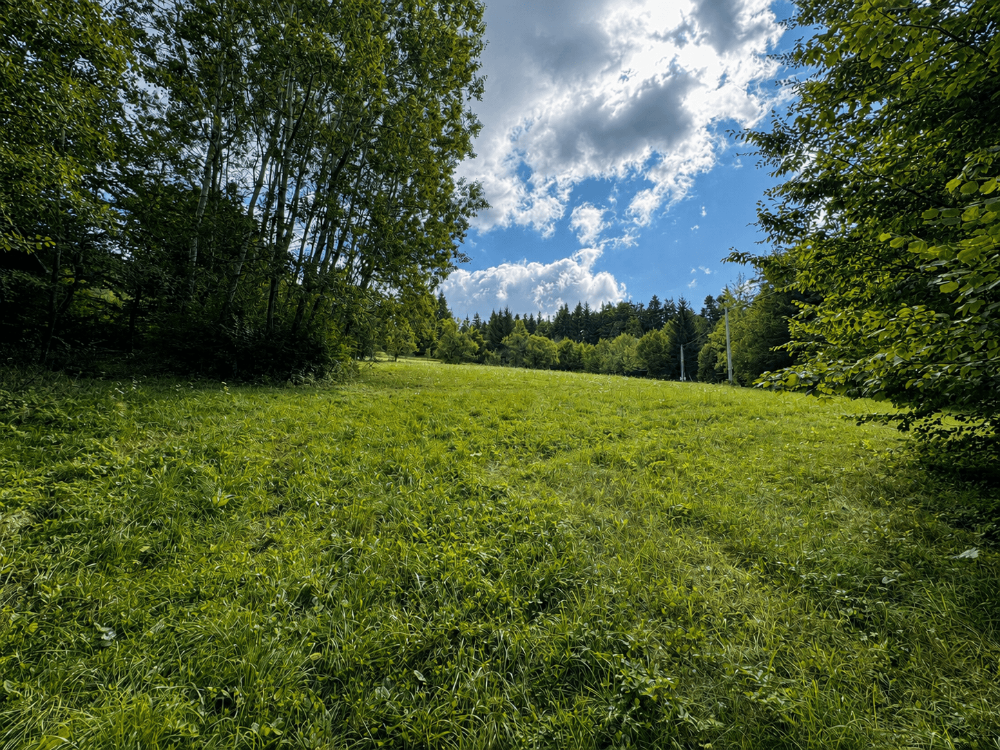 Prodej chaty, chalupy 78 m², pozemek 4.016 m², Pozděchov, Zlínský kraj Prodej chaty, chalupy 78 m², pozemek 4.016 m², Pozděchov, Zlínský kraj