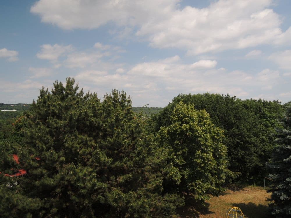 Pronájem bytu 3+1 81 m², Naskové, Praha, Praha Pronájem bytu 3+1 81 m², Naskové, Praha, Praha