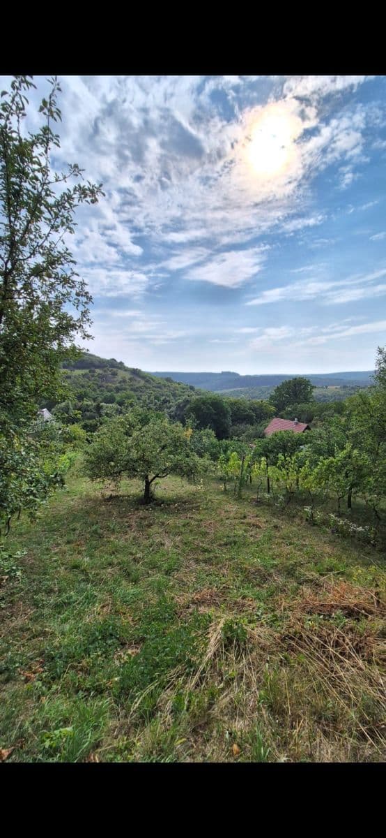 Prodej pozemku 523 m², Koryčany, Zlínský kraj Prodej pozemku 523 m², Koryčany, Zlínský kraj
