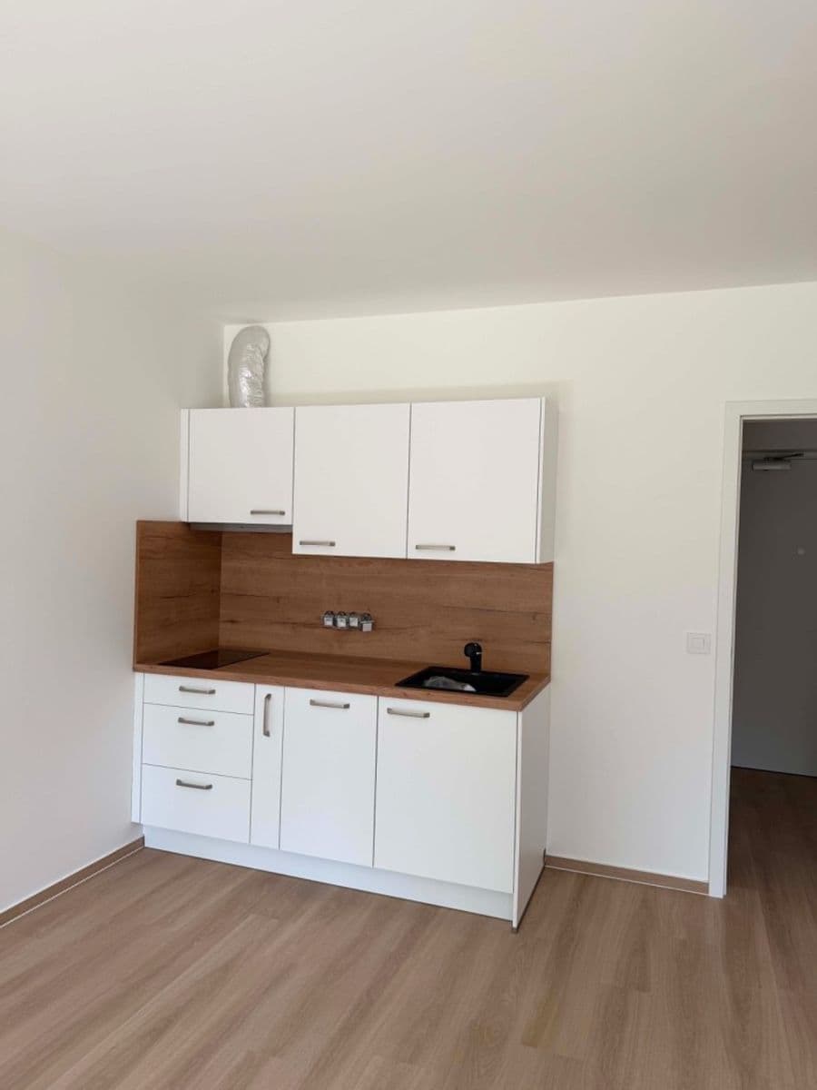 Pronájem bytu 1+kk 35 m², Střední, Brno, Jihomoravský kraj Pronájem bytu 1+kk 35 m², Střední, Brno, Jihomoravský kraj