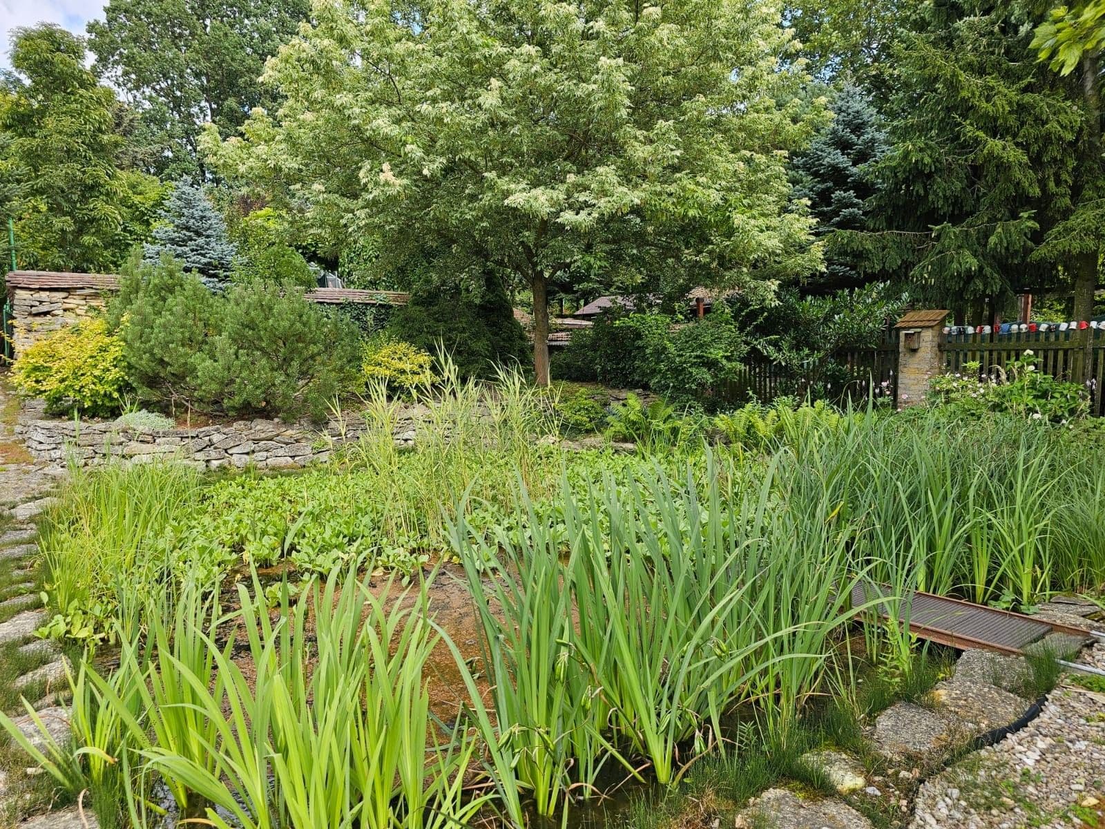 Prodej domu 1.067 m², pozemek 1.970 m², Vraclav, Pardubický kraj Prodej domu 1.067 m², pozemek 1.970 m², Vraclav, Pardubický kraj