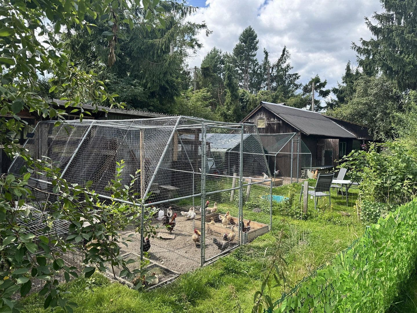 Prodej domu 585 m², Mühlenstr. 12 - 12 A, Mirow, Mecklenburg-Vorpommern Prodej domu 585 m², Mühlenstr. 12 - 12 A, Mirow, Mecklenburg-Vorpommern