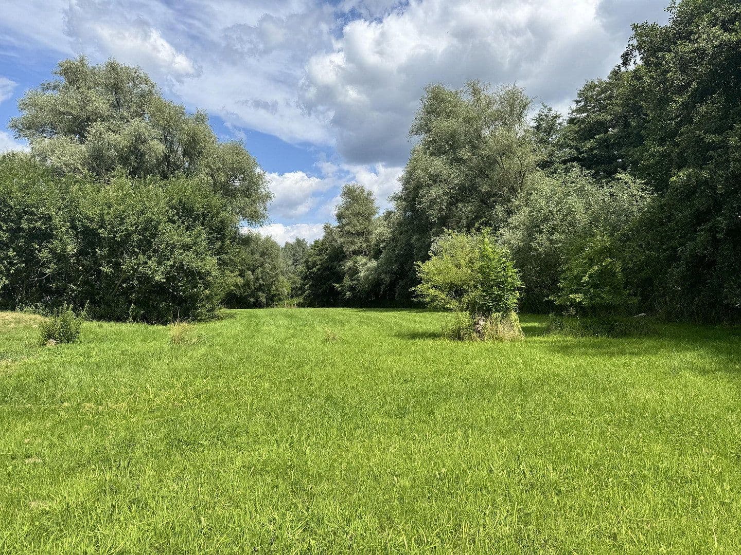 Prodej domu 585 m², Mühlenstr. 12 - 12 A, Mirow, Mecklenburg-Vorpommern Prodej domu 585 m², Mühlenstr. 12 - 12 A, Mirow, Mecklenburg-Vorpommern
