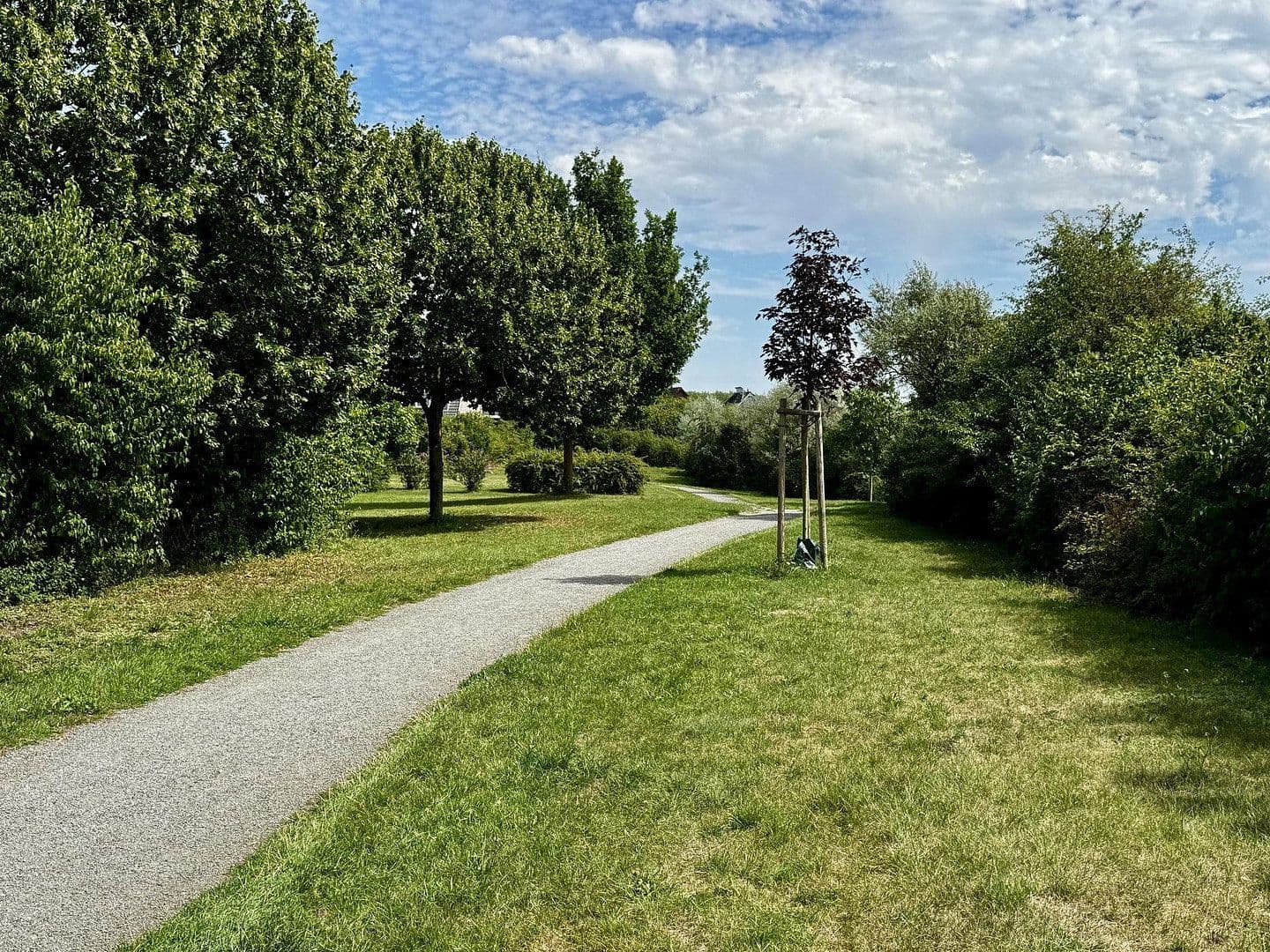 Prodej domu 111 m², pozemek 555 m², Am Kapellenberg 11, Grevesmühlen, Mecklenburg-Vorpommern Prodej domu 111 m², pozemek 555 m², Am Kapellenberg 11, Grevesmühlen, Mecklenburg-Vorpommern