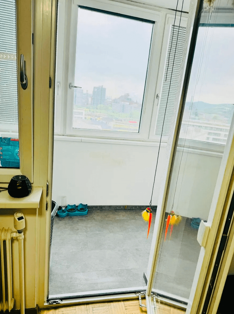 Prodej bytu 1+kk 37 m², Kremplstraße 3, Linz, Horní Rakousko Prodej bytu 1+kk 37 m², Kremplstraße 3, Linz, Horní Rakousko