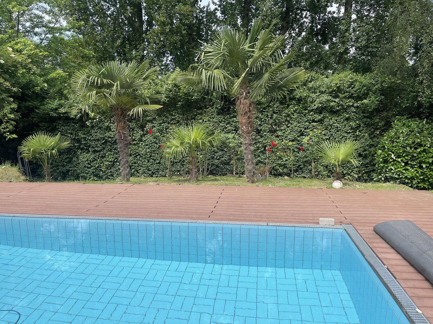 Prodej domu 250 m², pozemek 989 m², Kappenstraße 21, Mülheim an der Ruhr, Severní Porýní-Vestfálsko Prodej domu 250 m², pozemek 989 m², Kappenstraße 21, Mülheim an der Ruhr, Severní Porýní-Vestfálsko