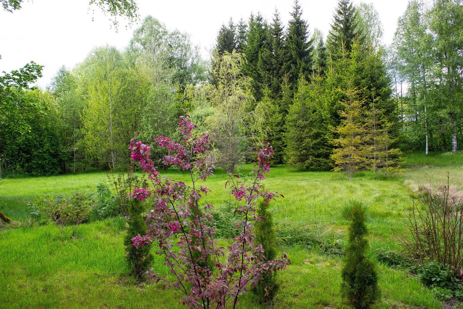 Prodej domu 110 m², pozemek 2.400 m², Muldenhammer, Sasko Prodej domu 110 m², pozemek 2.400 m², Muldenhammer, Sasko