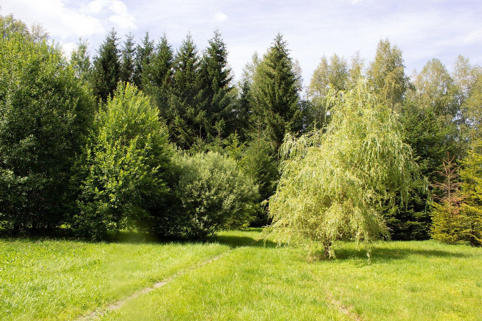 Prodej domu 110 m², pozemek 2.400 m², Muldenhammer, Sasko Prodej domu 110 m², pozemek 2.400 m², Muldenhammer, Sasko