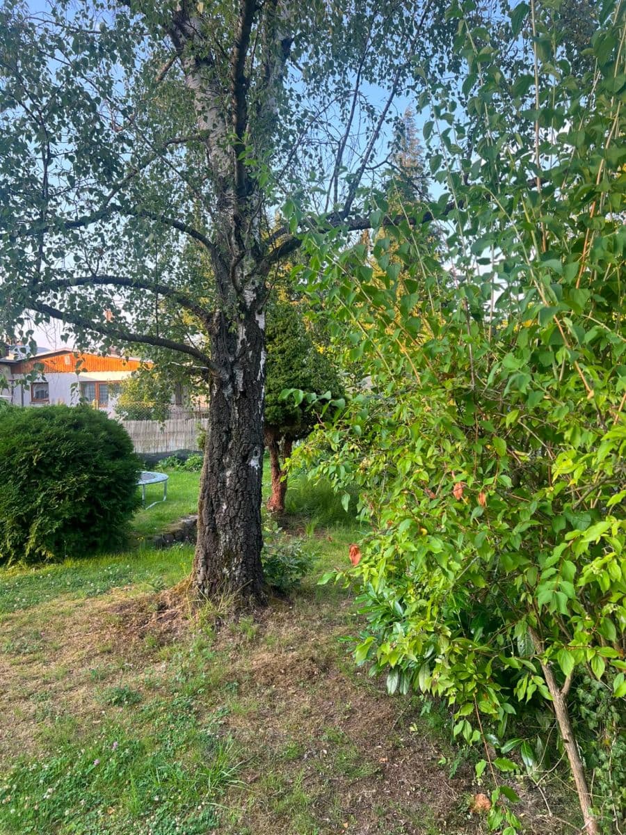 Prodej chaty, chalupy 49 m², pozemek 433 m², Svojetice, Středočeský kraj Prodej chaty, chalupy 49 m², pozemek 433 m², Svojetice, Středočeský kraj