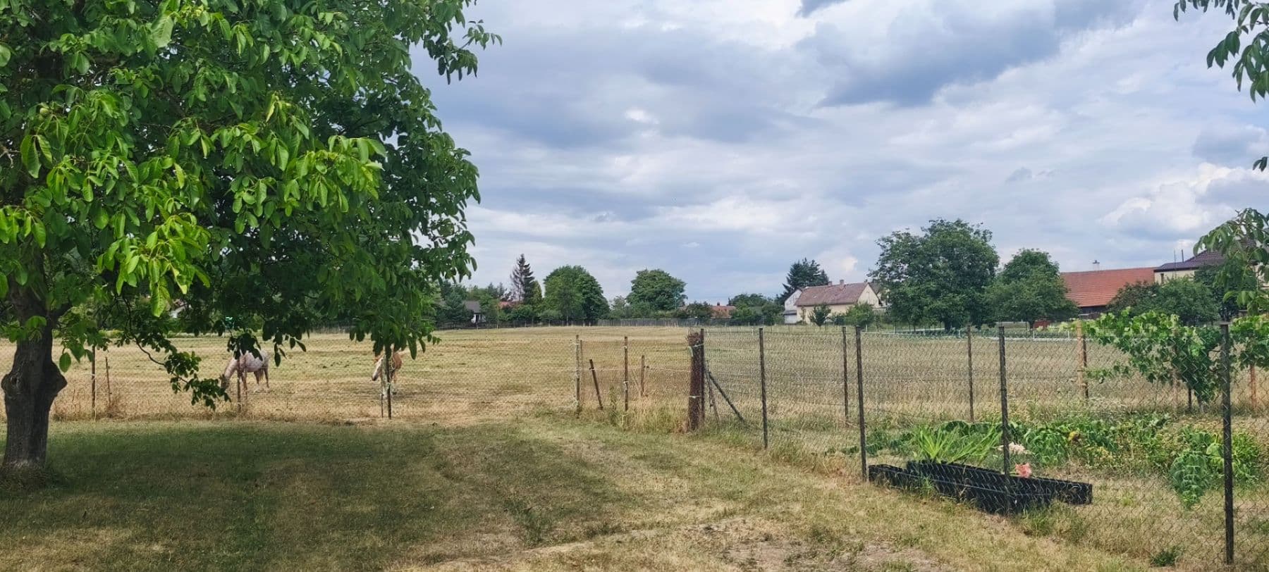 Prodej pozemku 782 m², Jizbice, Středočeský kraj Prodej pozemku 782 m², Jizbice, Středočeský kraj