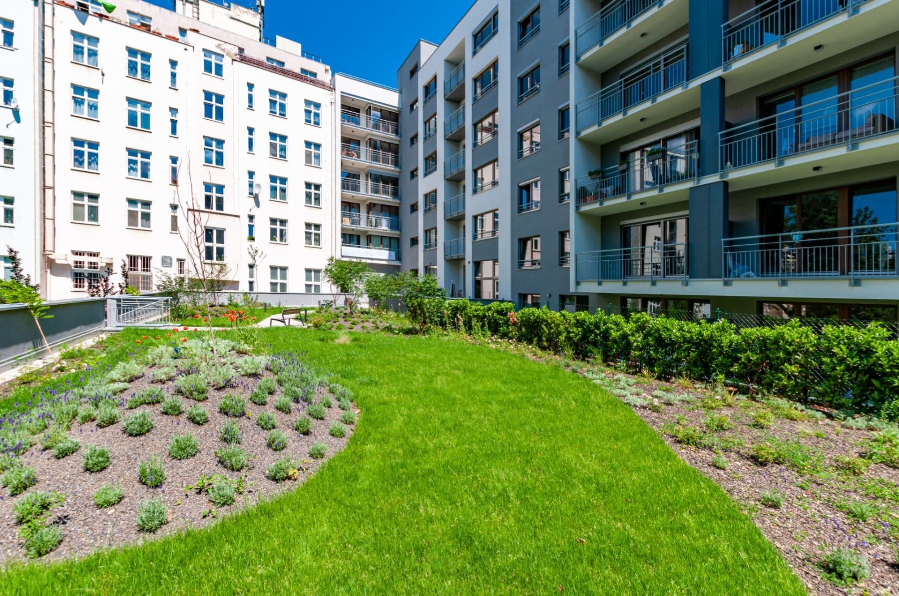 Pronájem bytu 1+kk 28 m², Bassova, Praha, Praha Pronájem bytu 1+kk 28 m², Bassova, Praha, Praha