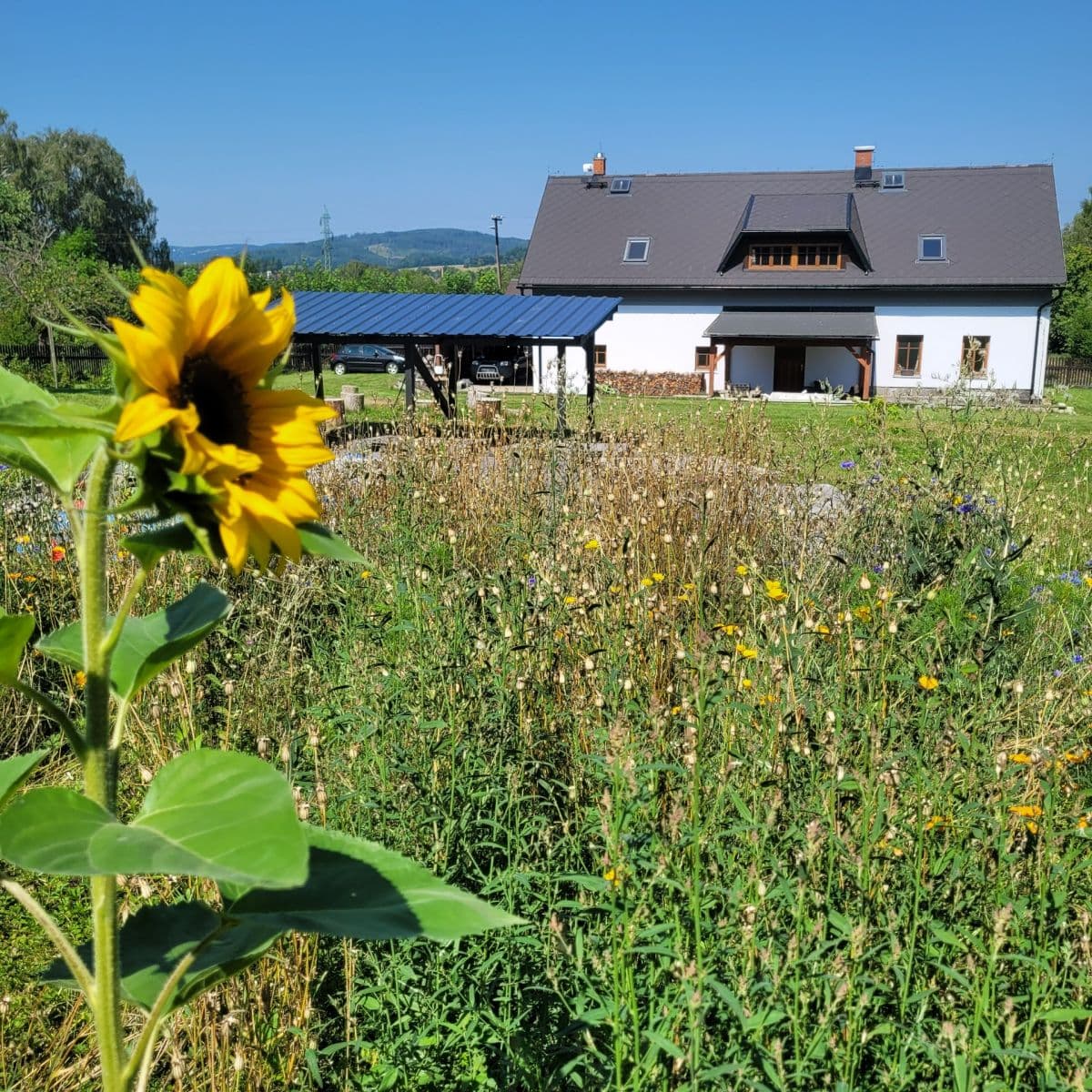 Pronájem domu 260 m², pozemek 3.000 m², Velký Šenov, Ústecký kraj Pronájem domu 260 m², pozemek 3.000 m², Velký Šenov, Ústecký kraj