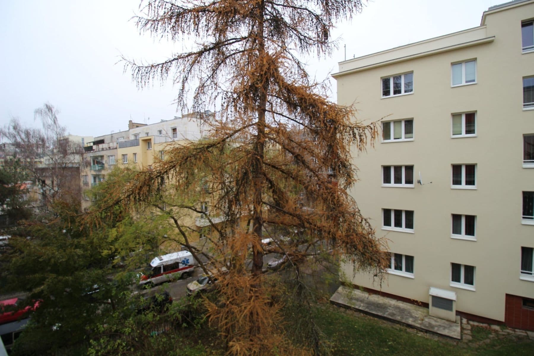 Pronájem bytu 2+1 50 m², Mládeže, Praha, Praha Pronájem bytu 2+1 50 m², Mládeže, Praha, Praha
