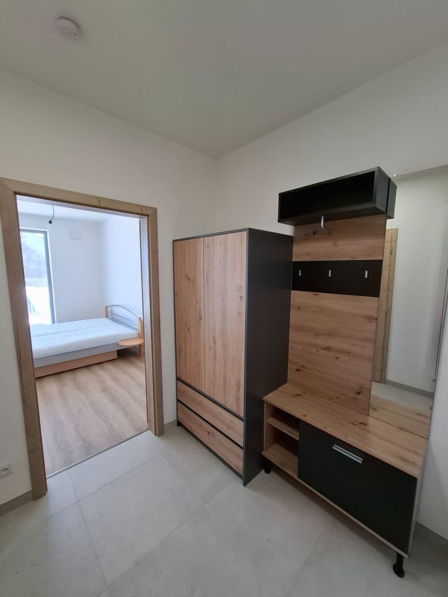 Pronájem bytu 1+kk 32 m², Řepova, Brno, Jihomoravský kraj Pronájem bytu 1+kk 32 m², Řepova, Brno, Jihomoravský kraj