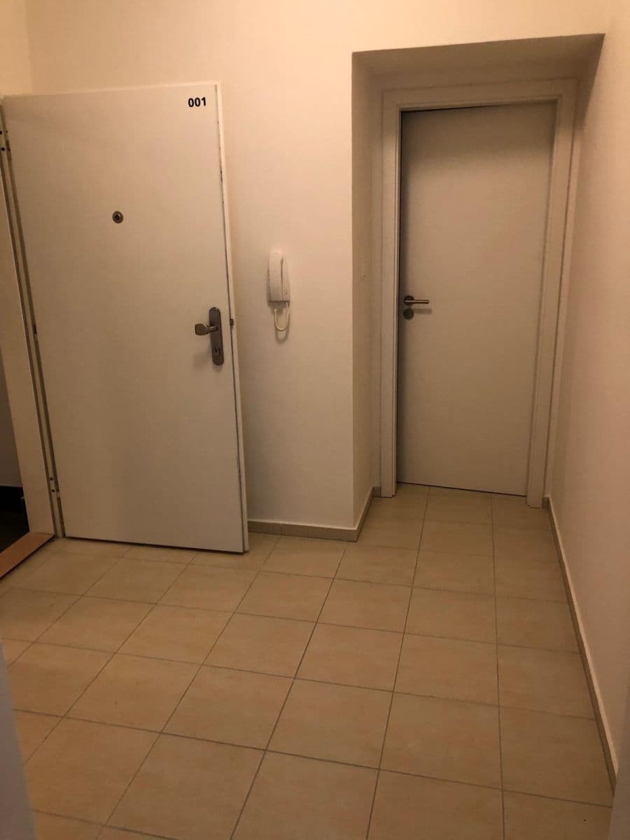 Pronájem bytu 1+kk 37 m², Výstavní, Brno, Jihomoravský kraj Pronájem bytu 1+kk 37 m², Výstavní, Brno, Jihomoravský kraj