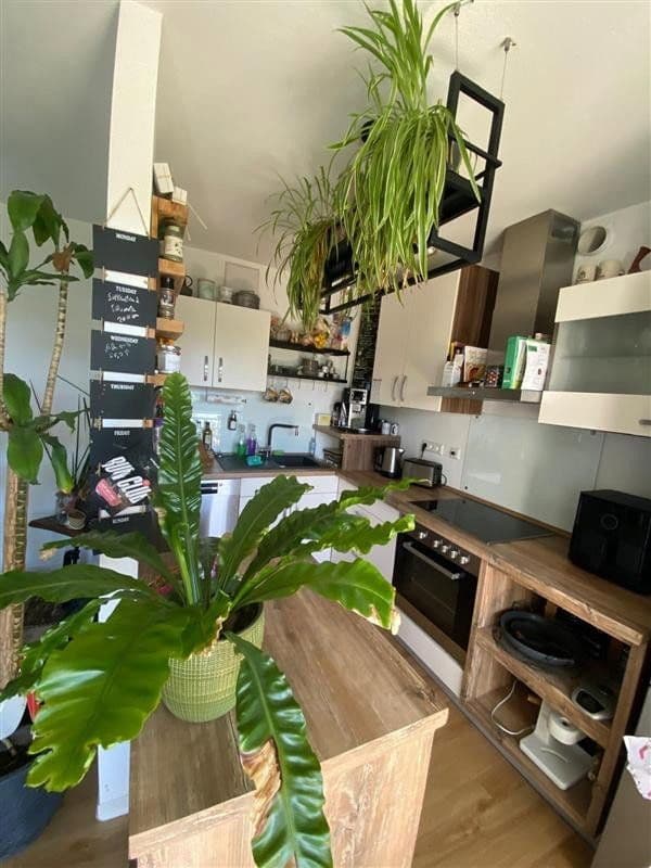 Pronájem bytu 3+1 86 m², Landau in der Pfalz, Porýní-Falc Pronájem bytu 3+1 86 m², Landau in der Pfalz, Porýní-Falc