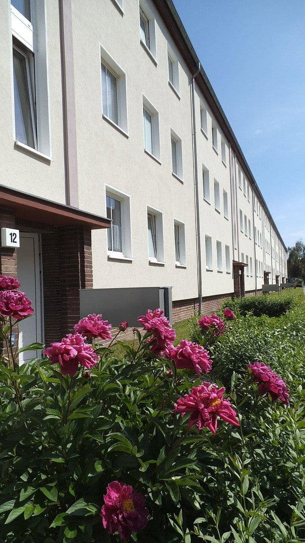 Pronájem bytu 2+1 62 m², Eisnerstraße 14, Magdeburg, Sasko-Anhaltsko Pronájem bytu 2+1 62 m², Eisnerstraße 14, Magdeburg, Sasko-Anhaltsko