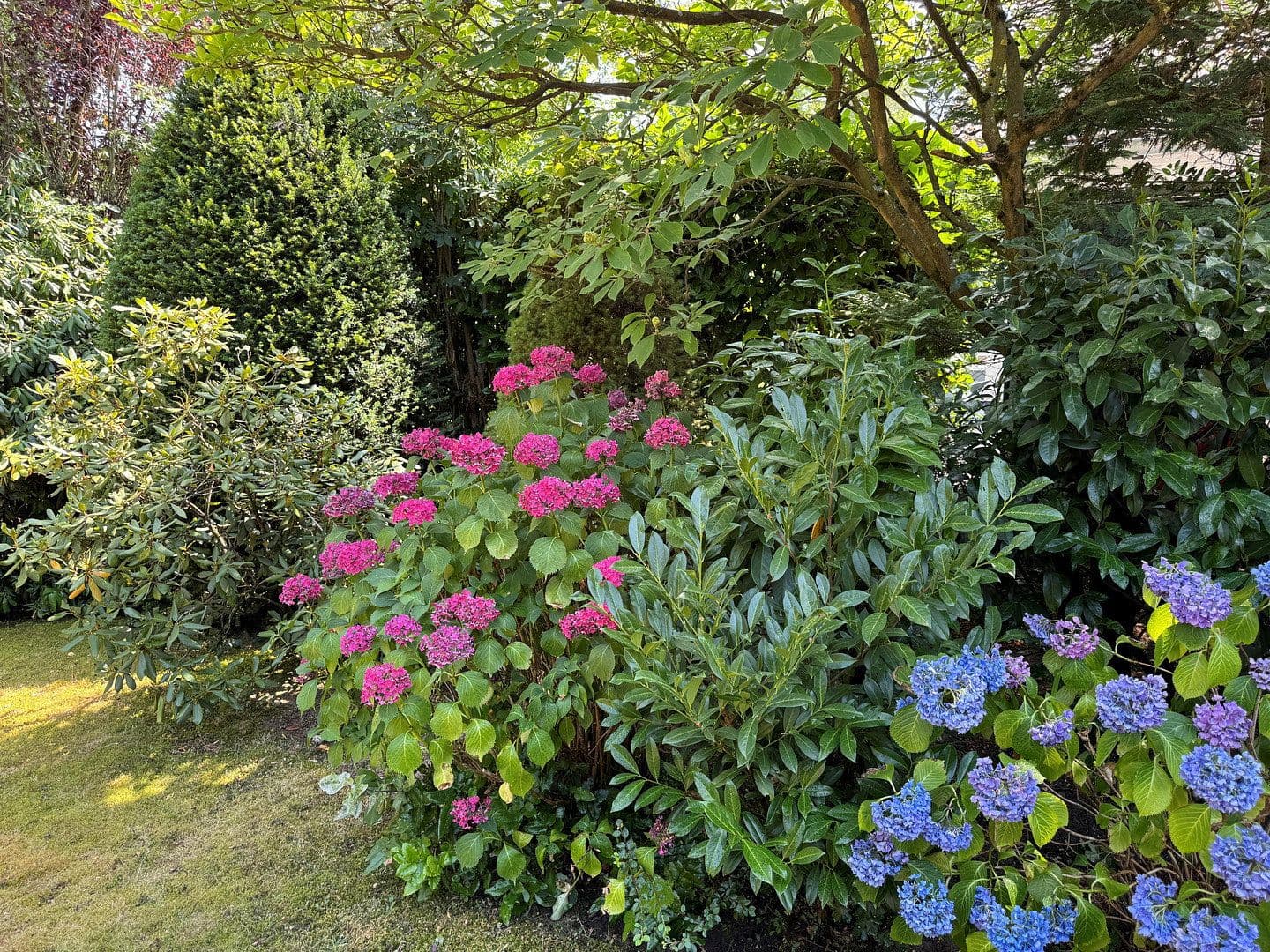 Prodej domu 245 m², pozemek 1.130 m², Am Waldpark, Köln, Severní Porýní-Vestfálsko Prodej domu 245 m², pozemek 1.130 m², Am Waldpark, Köln, Severní Porýní-Vestfálsko