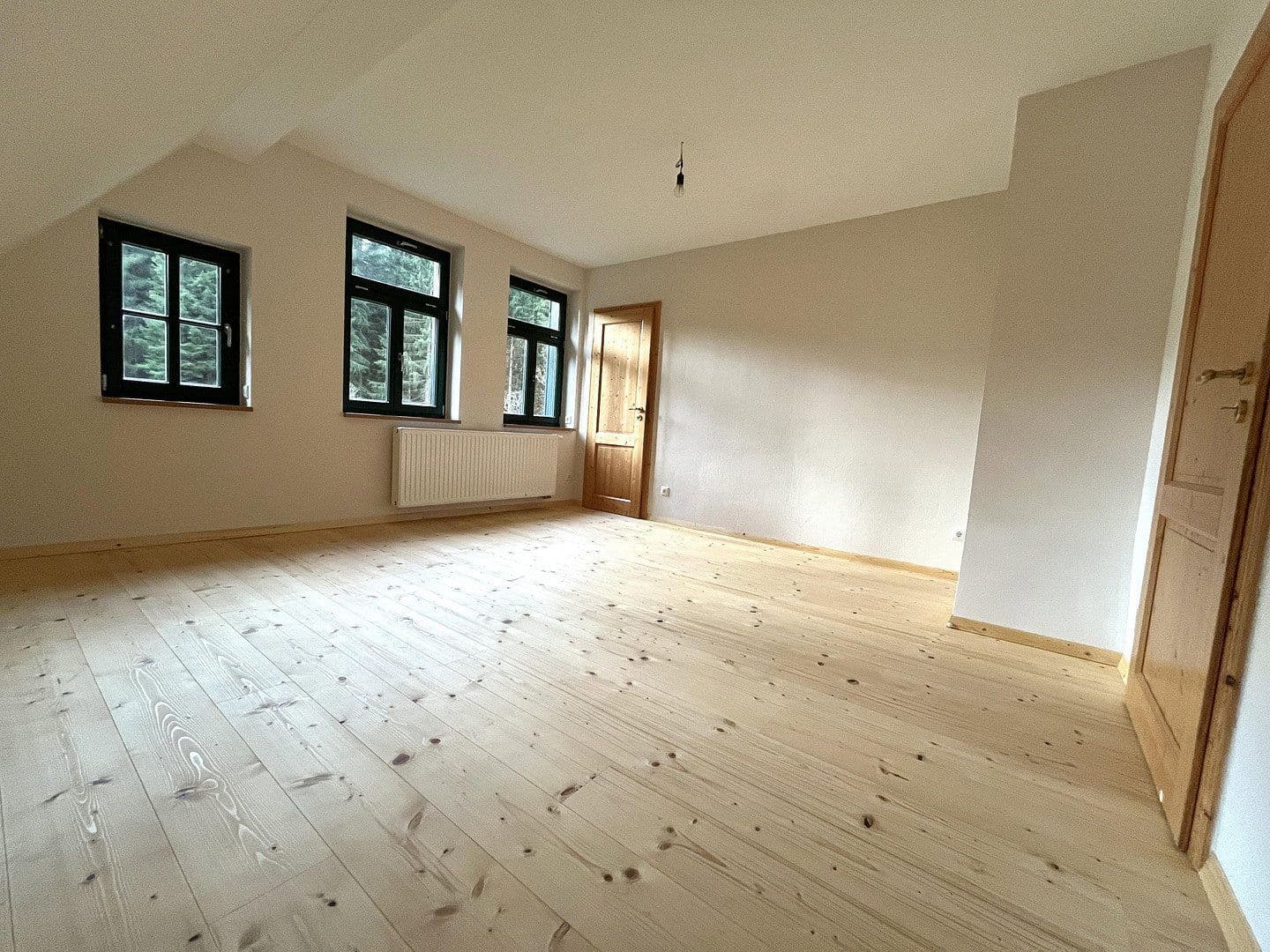 Prodej domu 268 m², pozemek 10.000 m², Eibenstock, Sasko Prodej domu 268 m², pozemek 10.000 m², Eibenstock, Sasko