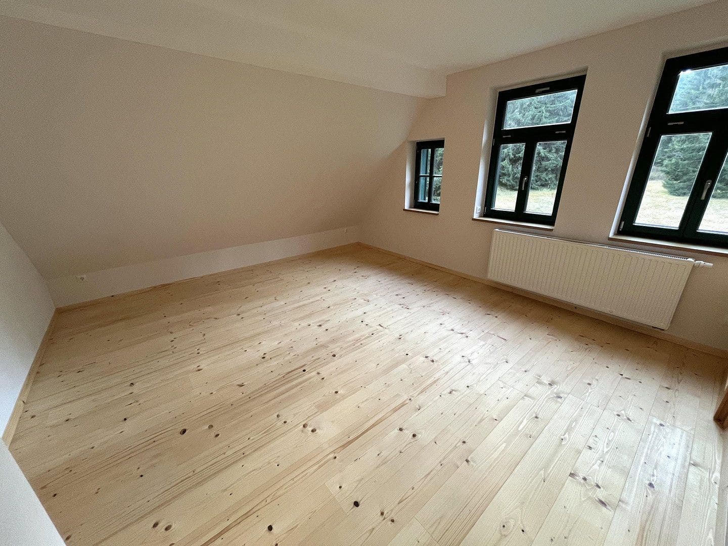 Prodej domu 268 m², pozemek 10.000 m², Eibenstock, Sasko Prodej domu 268 m², pozemek 10.000 m², Eibenstock, Sasko