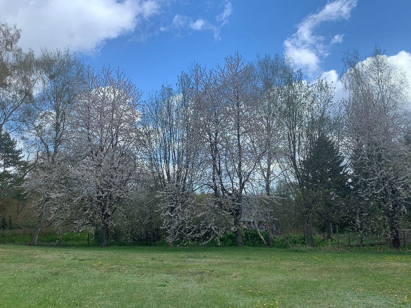 Prodej chaty, chalupy 400 m², pozemek 10.000 m², Ahlbeck, Mecklenburg-Vorpommern Prodej chaty, chalupy 400 m², pozemek 10.000 m², Ahlbeck, Mecklenburg-Vorpommern