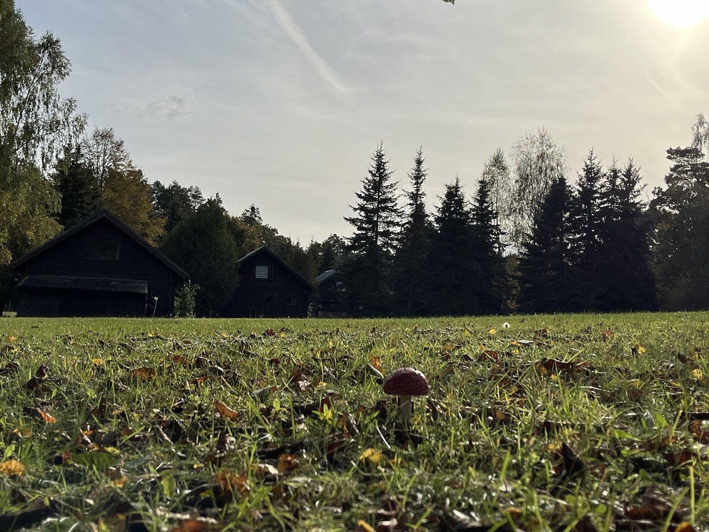 Prodej chaty, chalupy 400 m², pozemek 10.000 m², Ahlbeck, Mecklenburg-Vorpommern Prodej chaty, chalupy 400 m², pozemek 10.000 m², Ahlbeck, Mecklenburg-Vorpommern