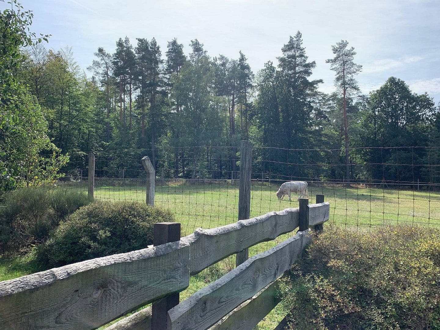 Prodej chaty, chalupy 400 m², pozemek 10.000 m², Ahlbeck, Mecklenburg-Vorpommern Prodej chaty, chalupy 400 m², pozemek 10.000 m², Ahlbeck, Mecklenburg-Vorpommern