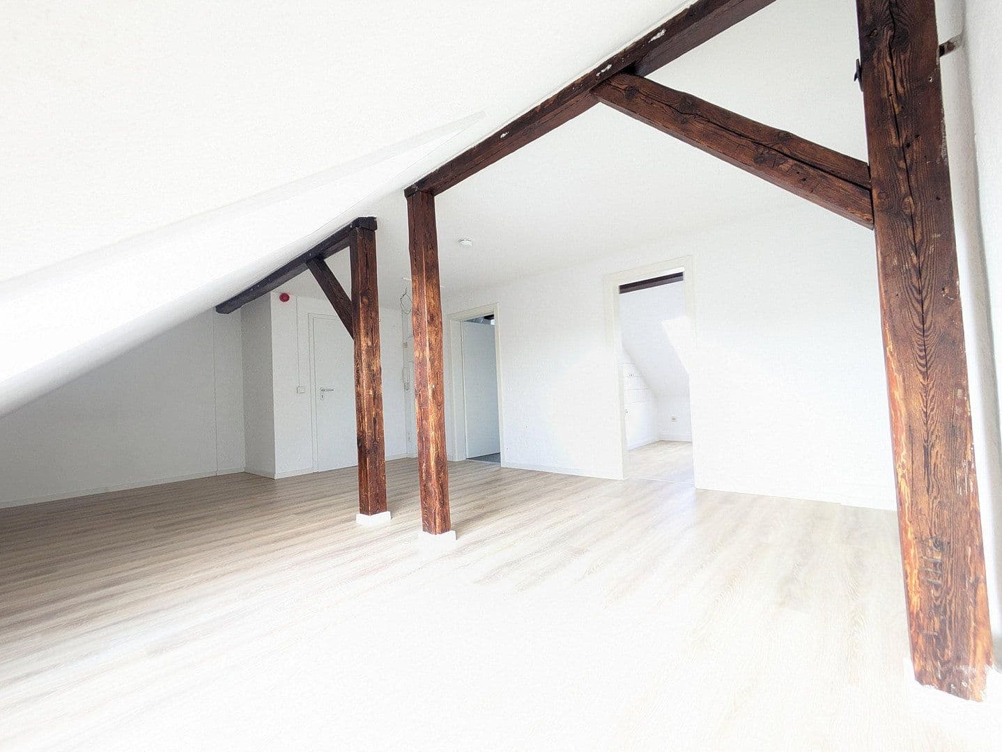 Pronájem bytu 1+1 39 m², Triftstr. 29, Halle, Sasko-Anhaltsko Pronájem bytu 1+1 39 m², Triftstr. 29, Halle, Sasko-Anhaltsko