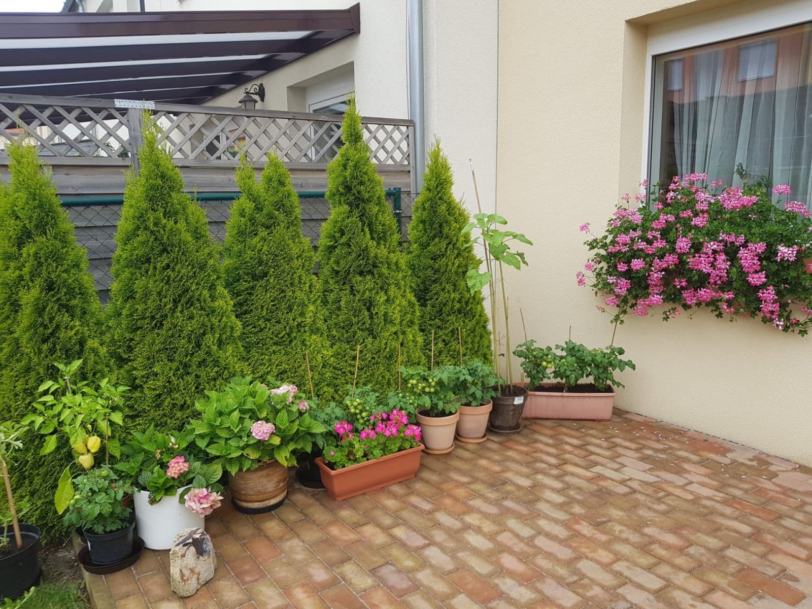 Pronájem domu 104 m², pozemek 190 m², Janáčkova, Jinočany, Středočeský kraj Pronájem domu 104 m², pozemek 190 m², Janáčkova, Jinočany, Středočeský kraj