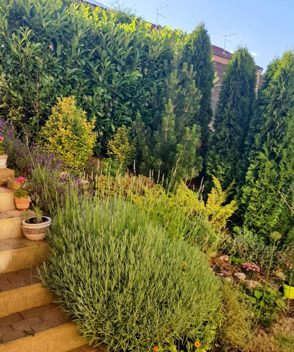 Pronájem domu 104 m², pozemek 190 m², Janáčkova, Jinočany, Středočeský kraj Pronájem domu 104 m², pozemek 190 m², Janáčkova, Jinočany, Středočeský kraj