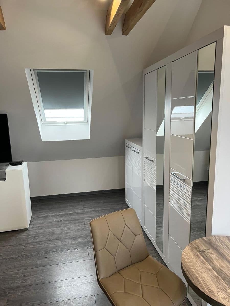Pronájem bytu 1+kk 40 m², U Svodnice, Praha, Praha Pronájem bytu 1+kk 40 m², U Svodnice, Praha, Praha