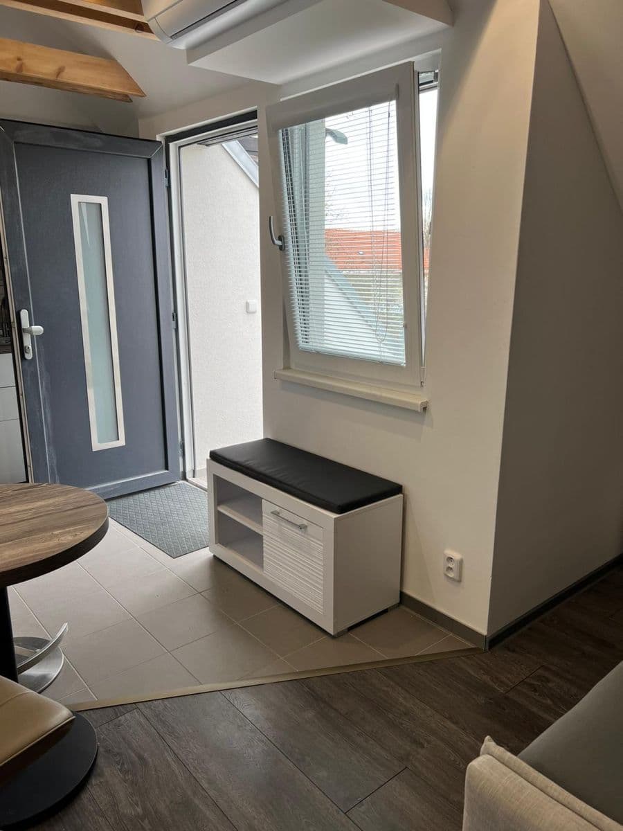 Pronájem bytu 1+kk 40 m², U Svodnice, Praha, Praha Pronájem bytu 1+kk 40 m², U Svodnice, Praha, Praha
