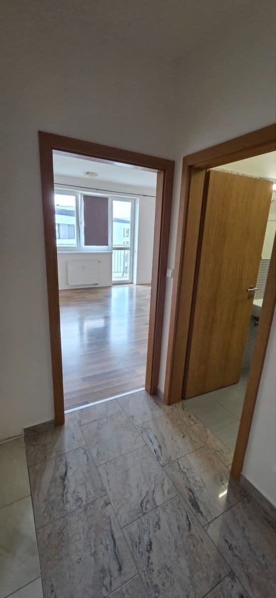 Pronájem bytu 1+kk 33 m², Goldscheiderova, Plzeň, Plzeňský kraj Pronájem bytu 1+kk 33 m², Goldscheiderova, Plzeň, Plzeňský kraj