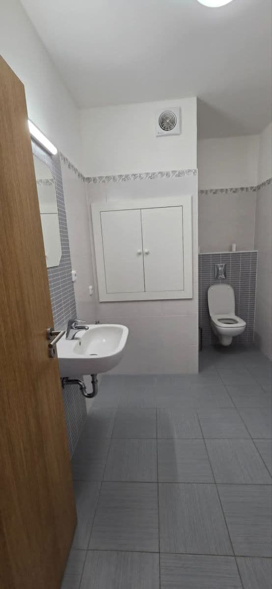 Pronájem bytu 1+kk 33 m², Goldscheiderova, Plzeň, Plzeňský kraj Pronájem bytu 1+kk 33 m², Goldscheiderova, Plzeň, Plzeňský kraj